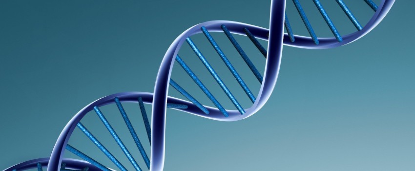 DNA: la scoperta